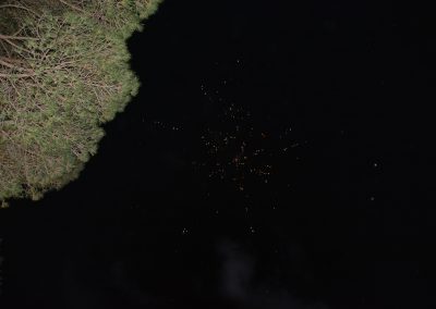 DSC_0929