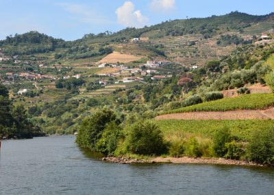 DSC_1379