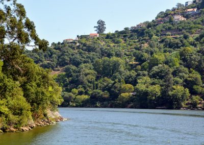 DSC_1451